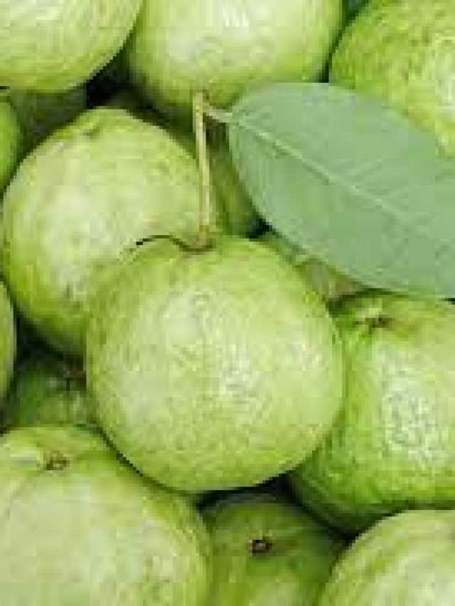 Guava