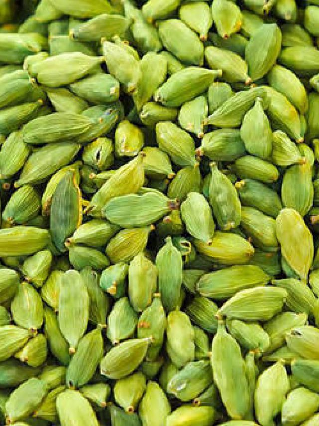 Benefits Of Cardamom