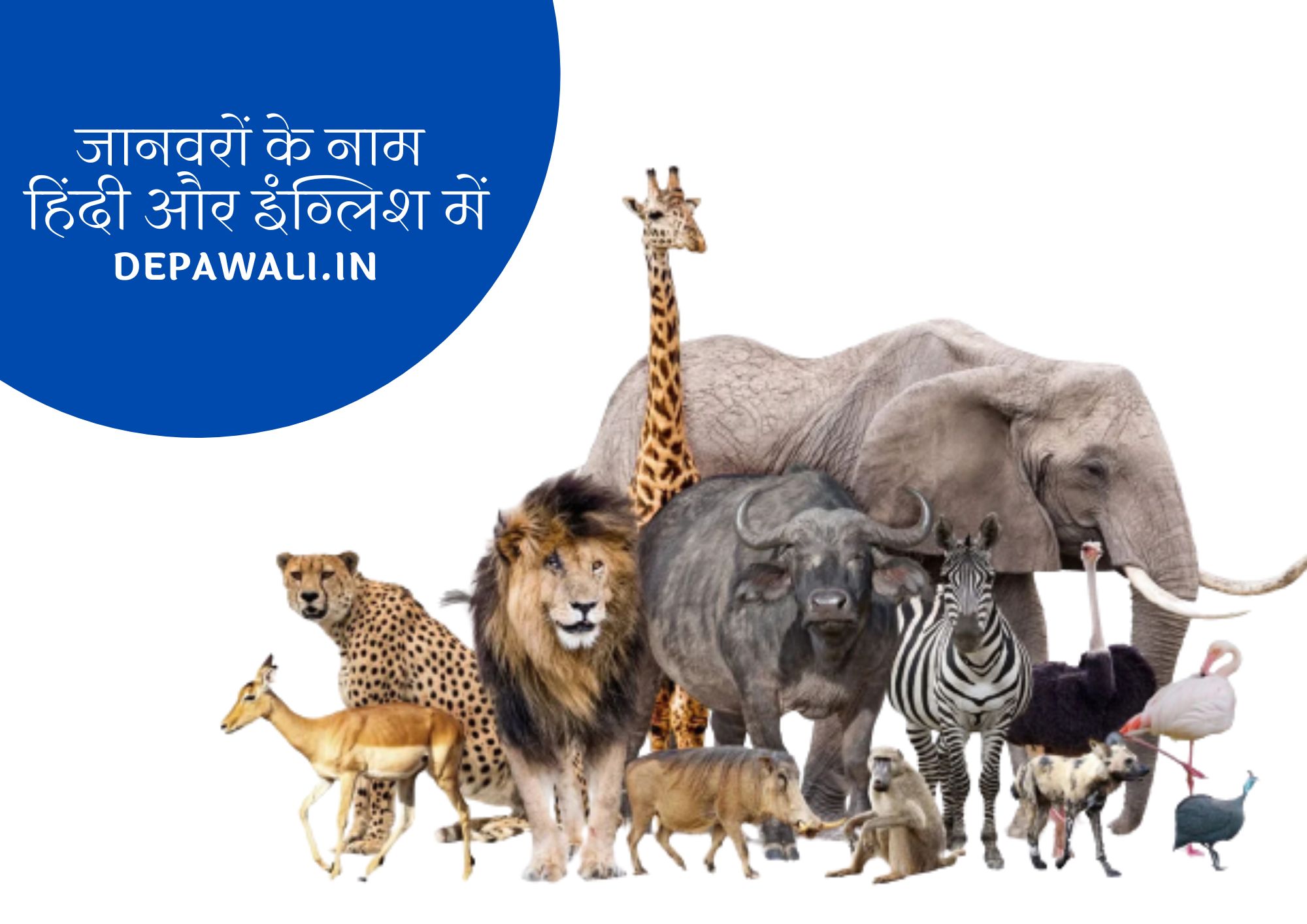 [101+] जानवरों के नाम हिंदी और इंग्लिश में - Animals Names In Hindi And English