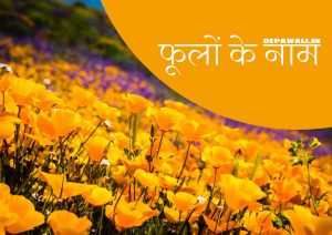 [101+] सभी फूलों के नाम हिंदी और अंग्रेजी में (40 Flowers Name Hindi And English) - Flowers In Hindi And English - All Flowers Name In Hindi And English - Name Of Flower In Hindi