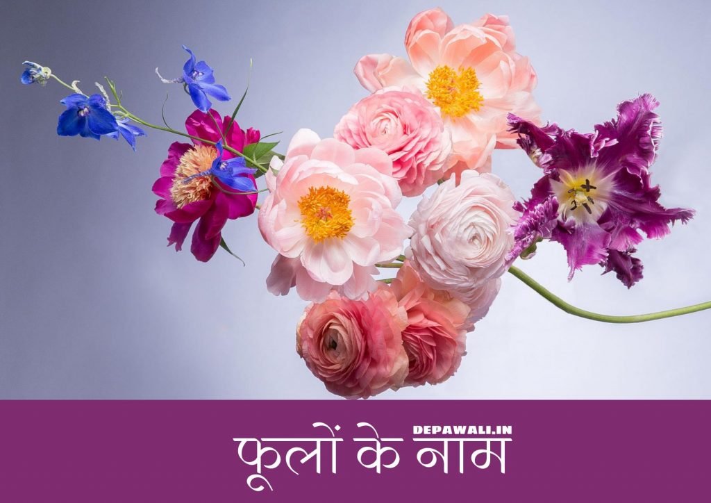 [101+] सभी फूलों के नाम हिंदी और अंग्रेजी में (Flowers Name Hindi And English) – Flowers In Hindi And English