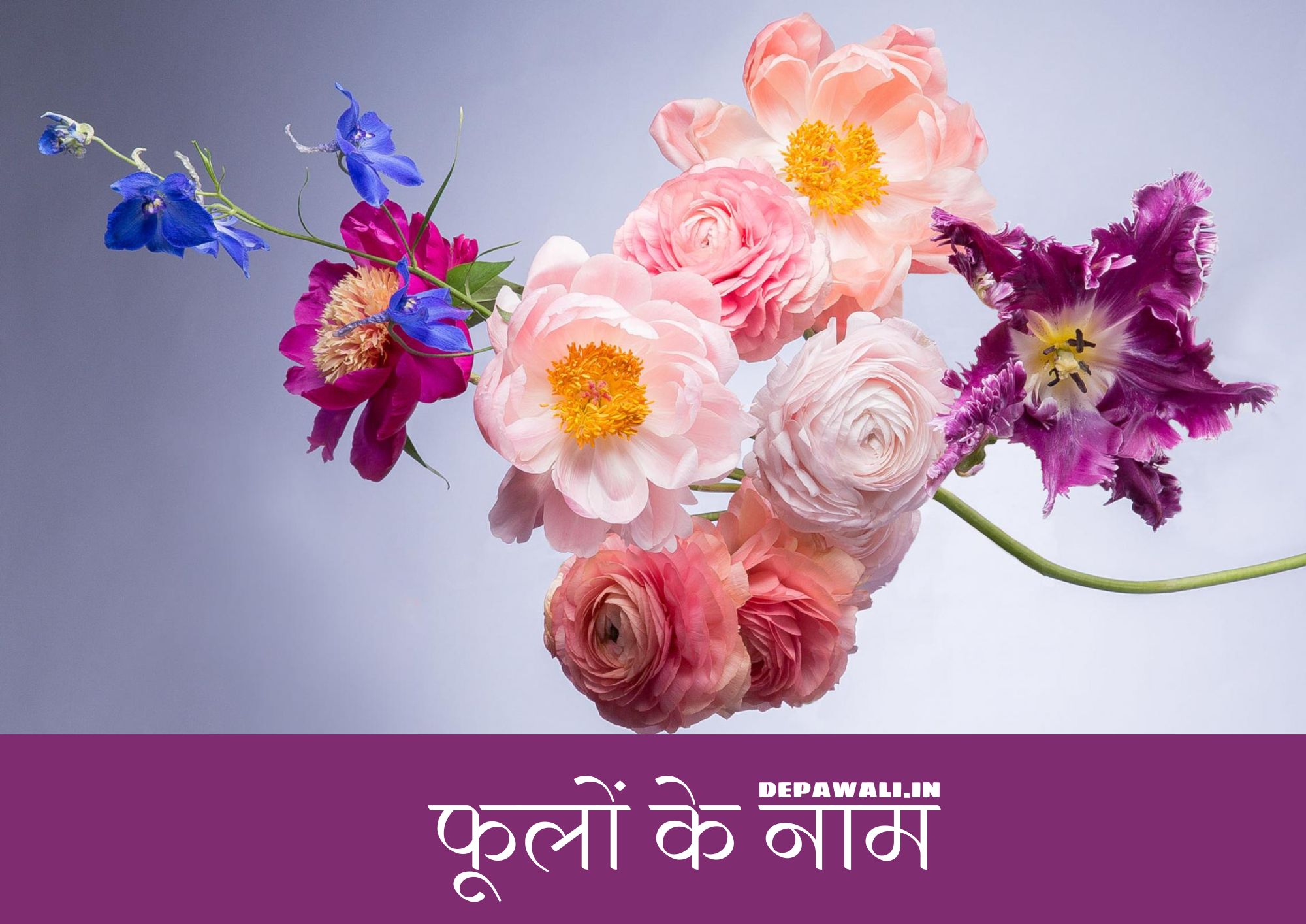 [101+] सभी फूलों के नाम हिंदी और अंग्रेजी में (40 Flowers Name Hindi And English) - Flowers In Hindi And English - All Flowers Name In Hindi And English - Name Of Flower In Hindi