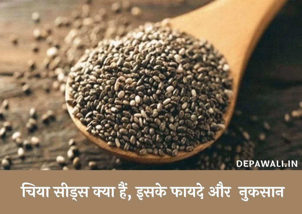 चिया सीड्स क्या है, इसके फायदे, नुकसान और साइड इफेक्ट – Chia Seeds Kya Hai In Hindi