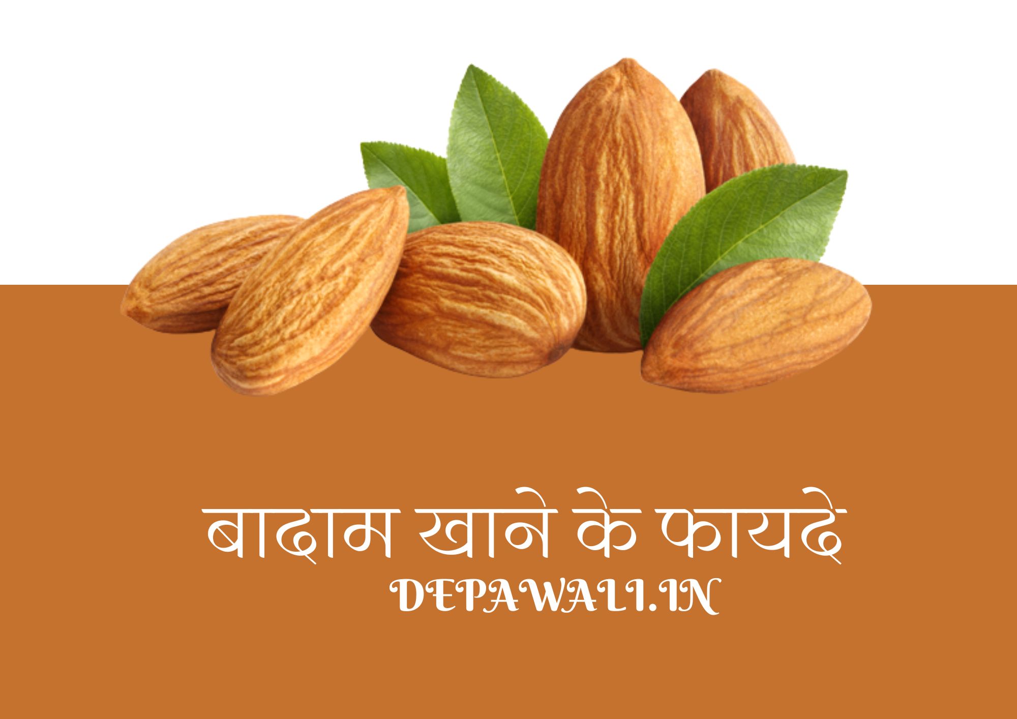 बादाम खाने के फायदे क्या होते है (Benefits Of Almonds In Hindi) - Badam Benefits In Hindi - Badam Khane Ke Fayde In Hindi