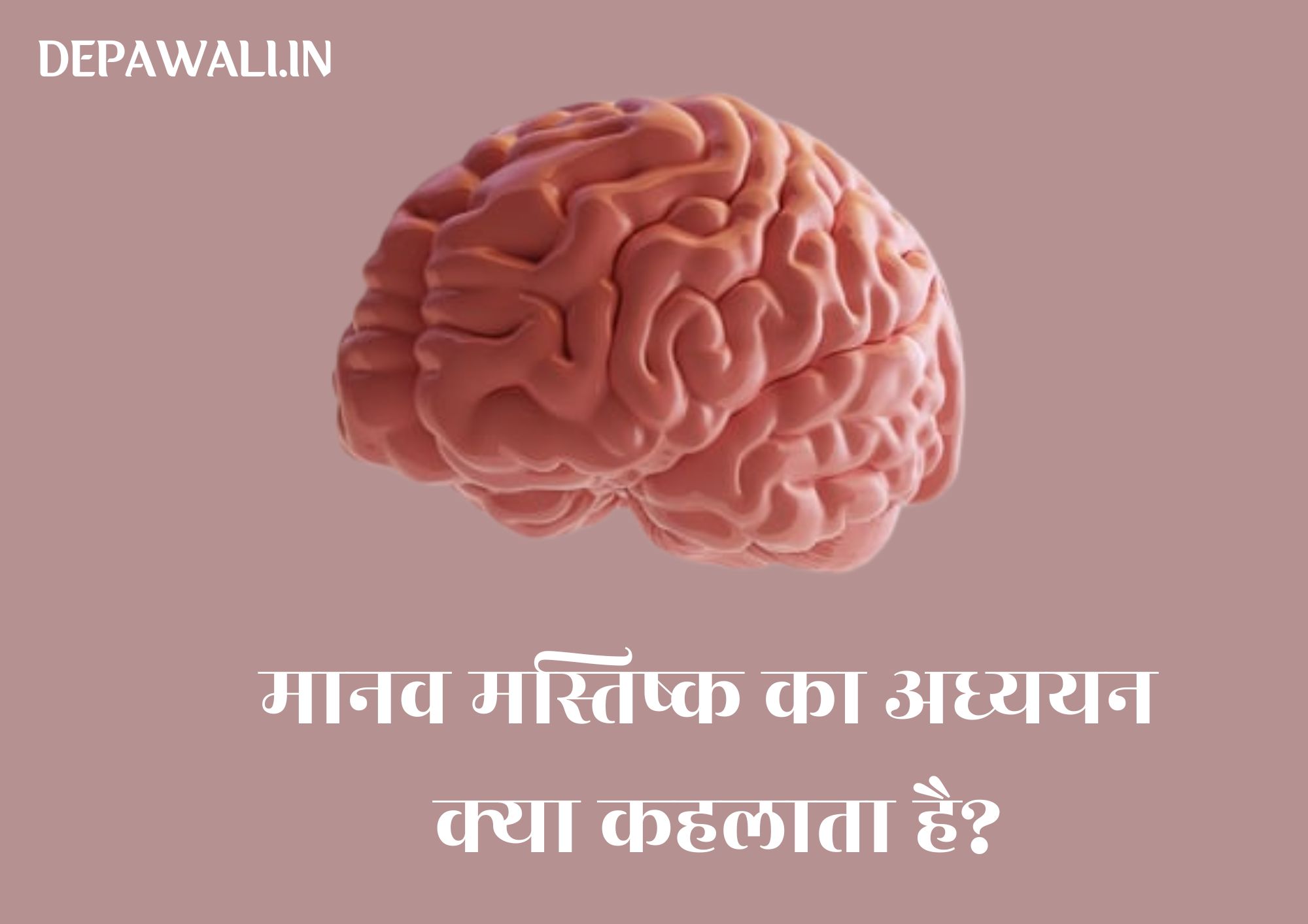मानव मस्तिष्क का अध्ययन क्या कहलाता है?
