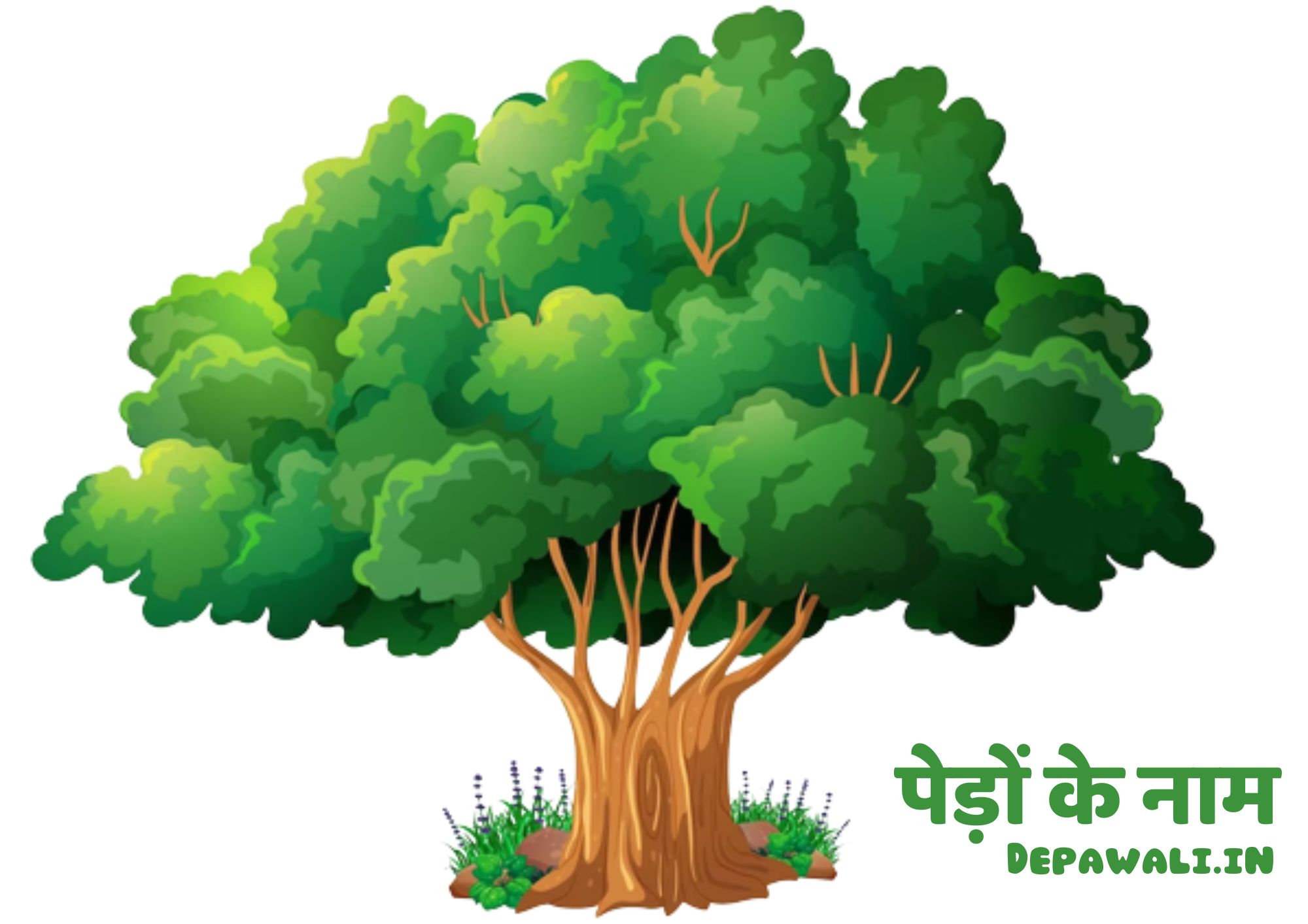 पेड़ों के नाम (ट्री नेम इन हिंदी) - Name Of Tree In Hindi (Tree In Hindi Name) - Trees Name In Hindi And English