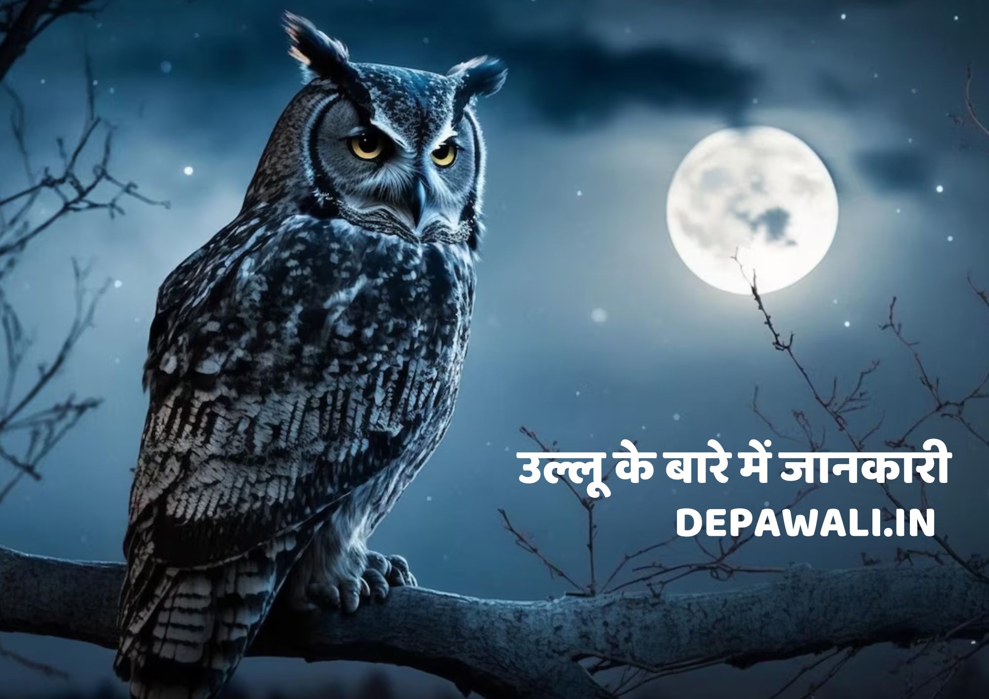 उल्लू के बारे में जानकारी (Ullu Ke Bare Me Jankari) - Facts About Owl In Hindi - Information About Owl In Hindi