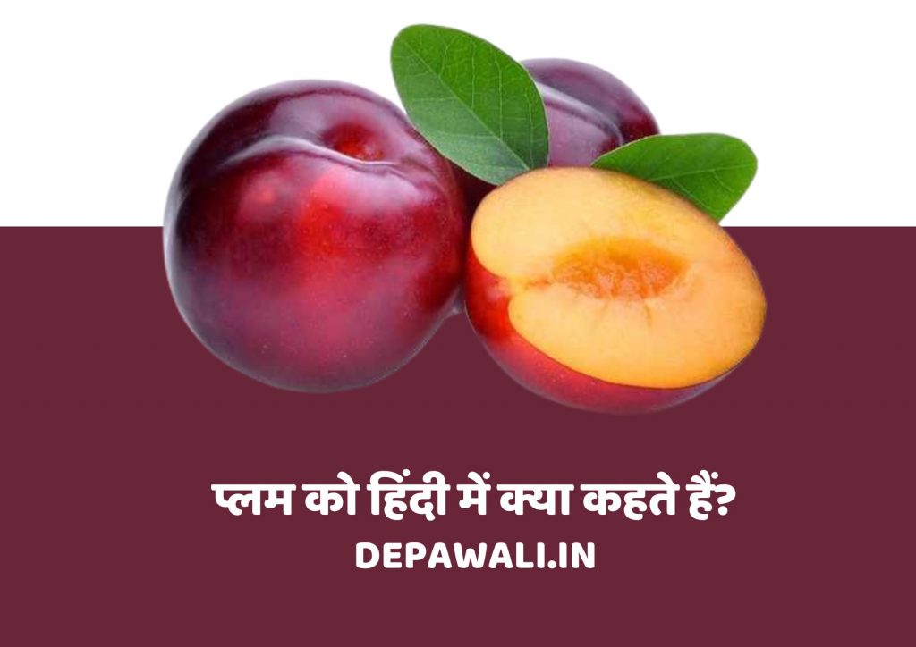 प्लम को हिंदी में क्या कहते हैं, फायदे और नुकसान (Plum Ko Hindi Mein Kya Kahate Hain)