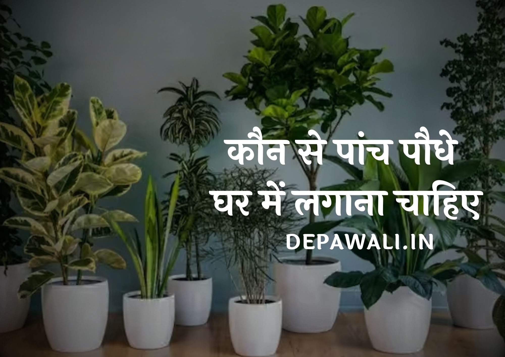कौन से पांच पौधे घर में लगाना चाहिए (Kaun Se Panch Paudhe Ghar Me Lagana Chahiye)