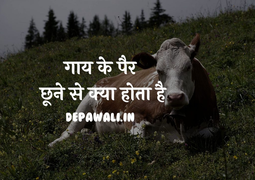 गाय के पैर छूने से क्या होता है, गाय को मारने से क्या होता है, गाय पर हाथ फेरने के लाभ