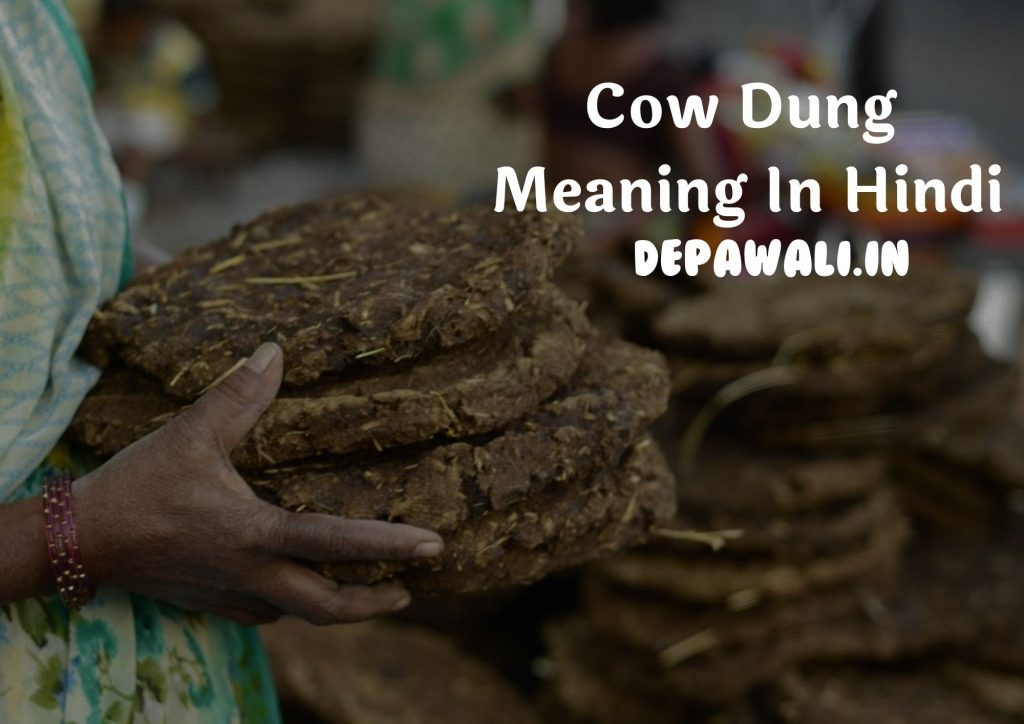 काऊ डंग का मतलब क्या होता है – What Is Meaning Of Cow Dung In Hindi