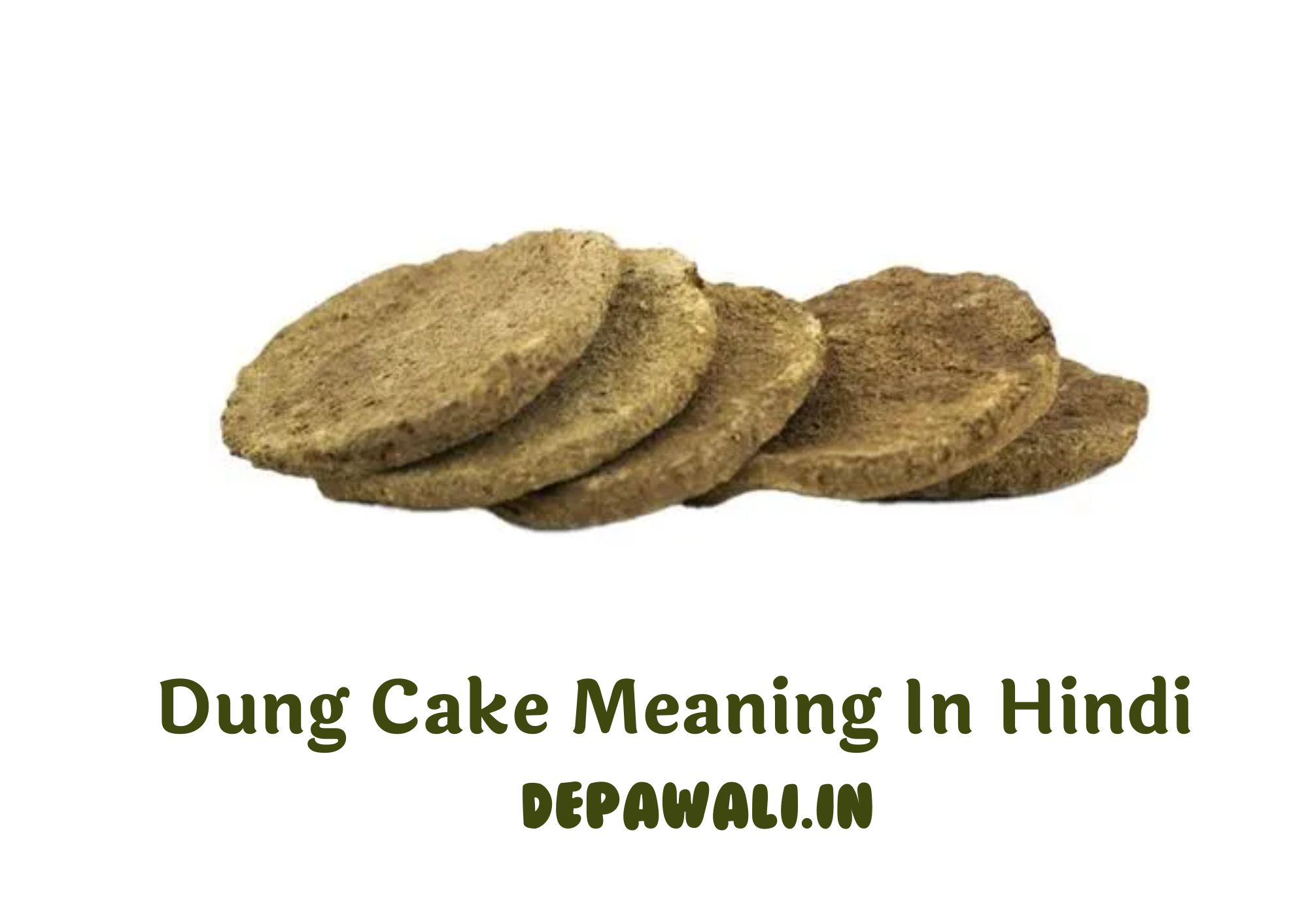 डंग केक का मतलब क्या होता है (Dung Cake Meaning In Hindi)